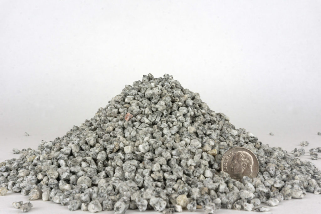 granite grit for growing poultry, shown with a dime for scale